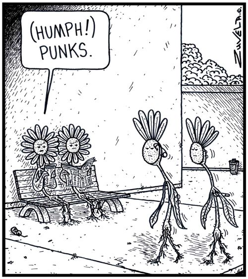 'Humph Punks!'