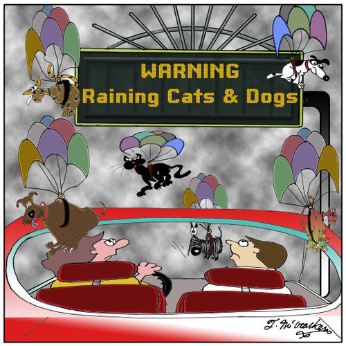 Warning, It's raining cats and dogs.