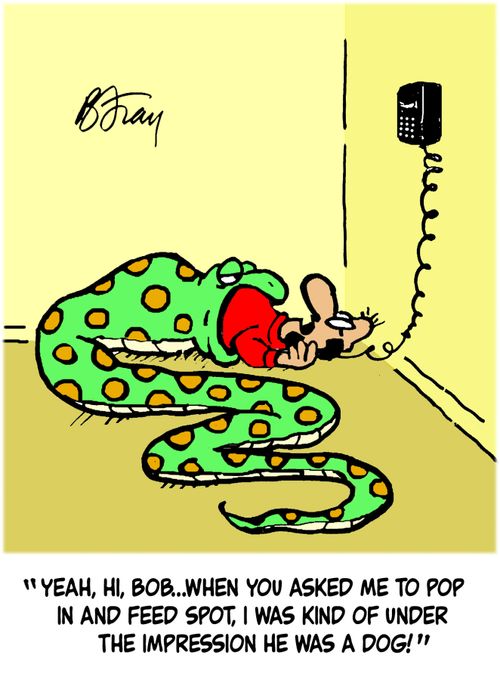 'Yeah, hi, Bob...when you asked me to pop in and feet Spot, I was kind of under the impression he was a dog!'