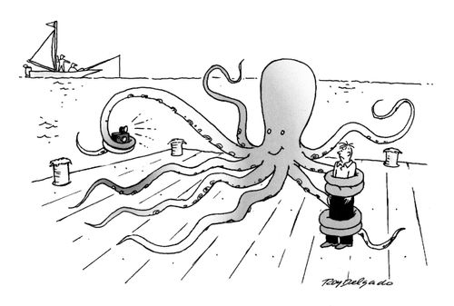 Tourist of the sea.