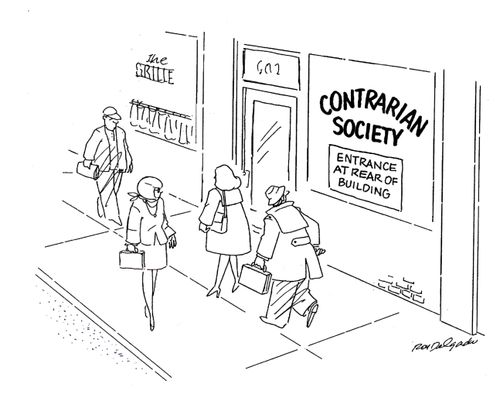 Contrarian Society - Entrance at rear of building.