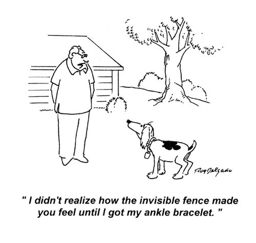 'I didn't realize how the invisible fence made you feel until I got my ankle bracelet.'