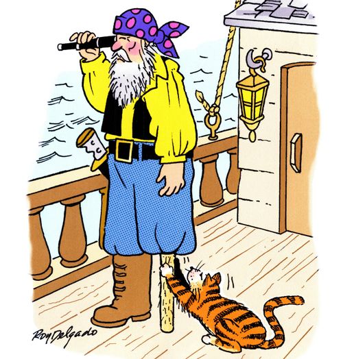 Pirates double up as a scratching post.