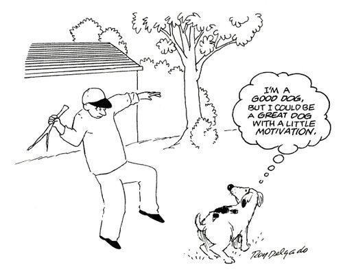 'I'm a good dog, but I could be a great dog with a little motivation.'