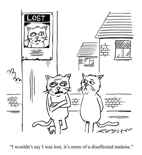 'I wouldn't say I was lost, it's more of a disaffected malaise.'