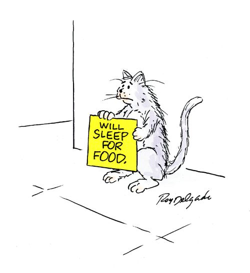 Will Sleep For Food.