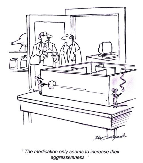 'The medication only seems to increase their aggressiveness.'