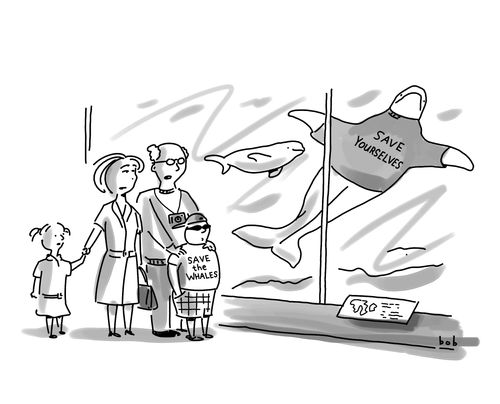 Whale tells family to save themselves.