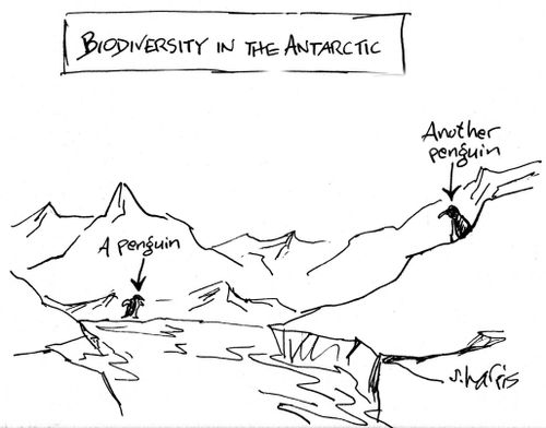 Biodiversity in the Antarctic