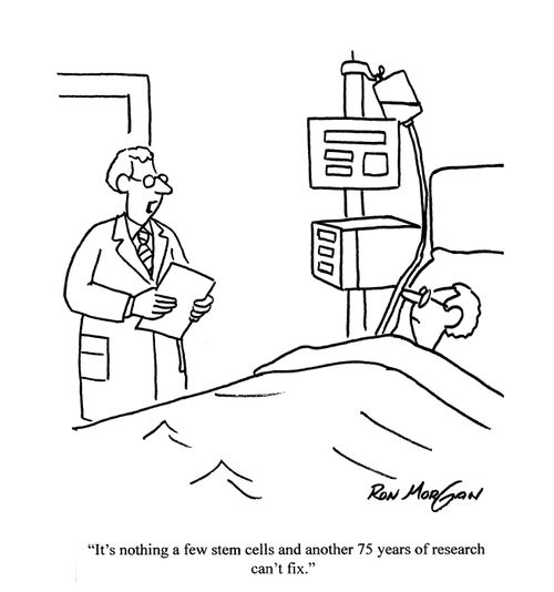 'It's nothing a few stem cells and another 75 years of research can't fix.'