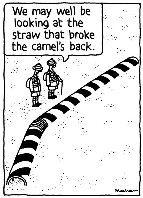 'We may well be looking at the straw that broke the camel's back.'
