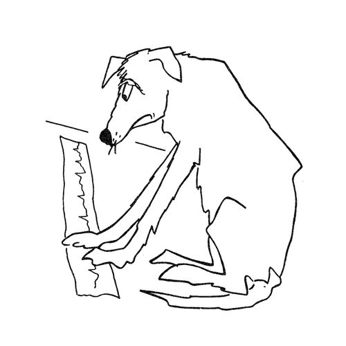 dog reading EKG