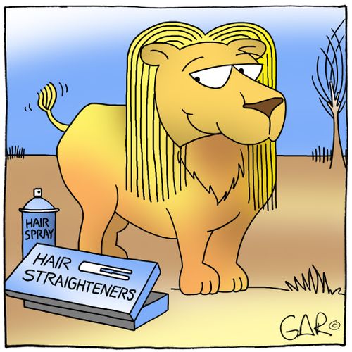 Lion with hair straighteners.
