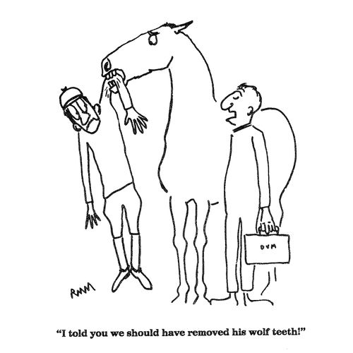'I told you we should have removed his wolf teeth!'