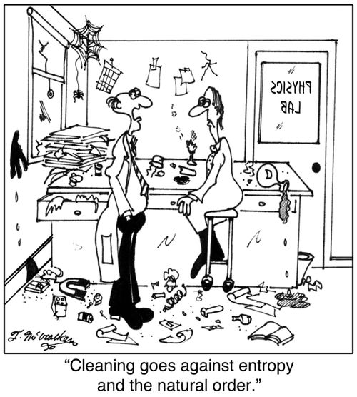'Cleaning goes against entropy and the natural order.'