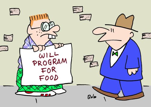 WILL PROGRAM FOR FOOD.