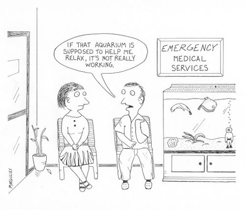'If that aquarium is supposed to help me relax, it's not really working.'