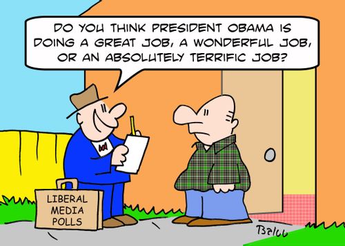 LIBERAL MEDIA POLLS, 'Do you think President Obama is doing a great job, a wonderful job, or an absolutely terrific job?'