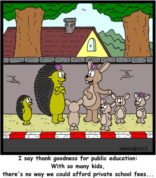 'I say thank goodness for public education: With so many kids, there's no way we could afford private school fees...'