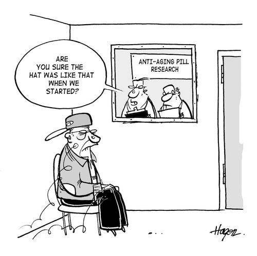 'Are you sure his hat was like that when we started?'