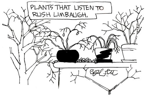 Plants that listen to Rush Limbaugh.