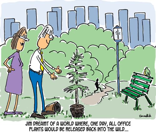 Jim dreamt of a world where, one day, all office plants would be released back into the wild...
