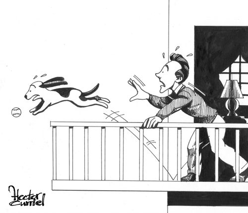 Dog follows a bouncing ball over a balcony.