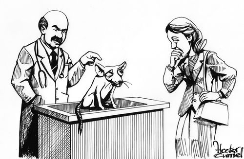 Woman has a bizarre pet.