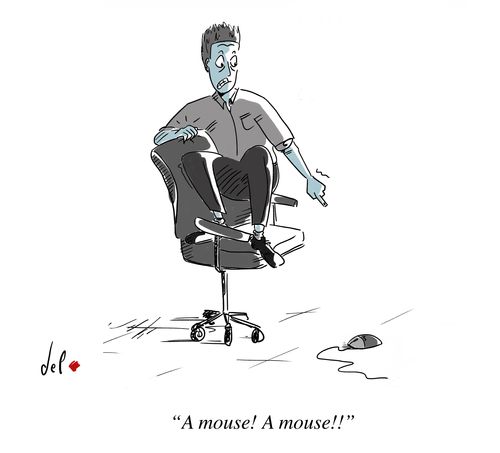 "A mouse! A mouse!"