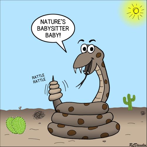 Rattle Snake Bad Ideas