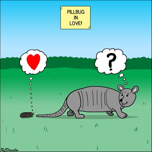 Pillbug (woodlouse) in love with an armadillo.