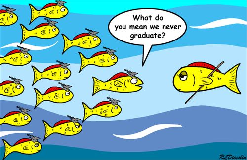 A school of fish.