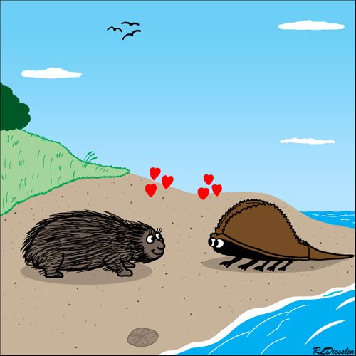 Porcupine meets horseshoe crab