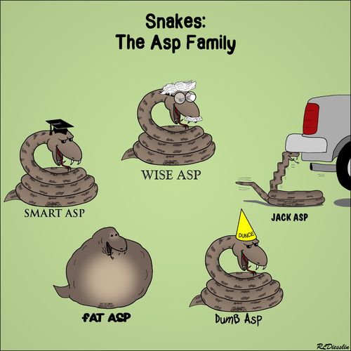 Asp Family