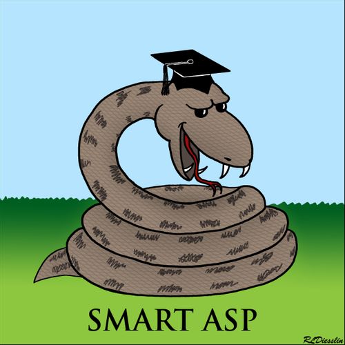 Smart Asp