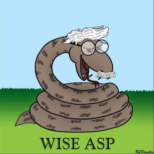 Wise Asp