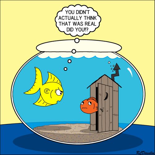 Fishbowl Outhouse Outhouse Aerator