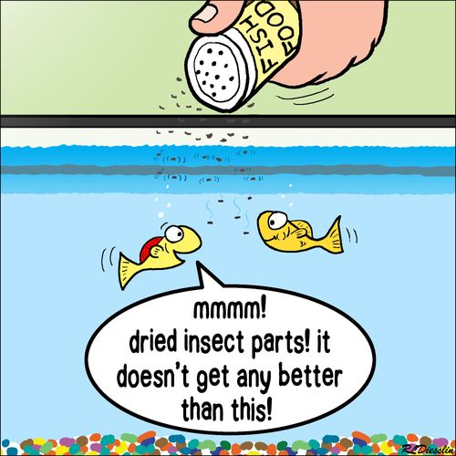 Fish Food.