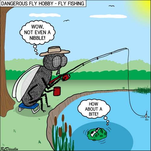 Fly Fishing.