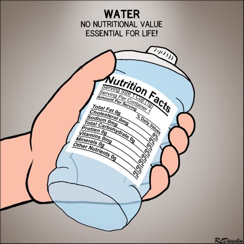 Water: No nutritional value, essential for life!
