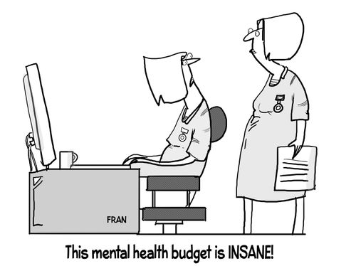 "This mental health budget is insane!"