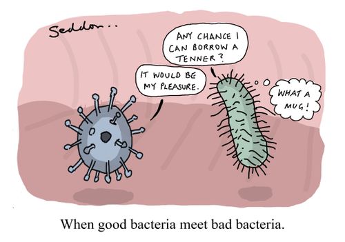 When good bacteria meet bad bacteria.