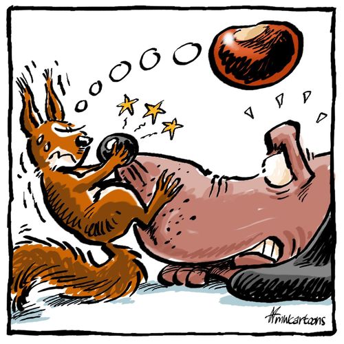 Squirrel mistakes a dog's nose for a nut.