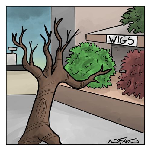 Tree Wigs