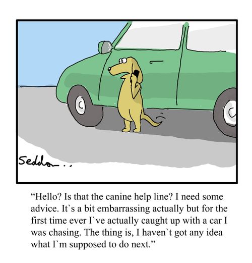 "Hello? Is that the canine help line?...."