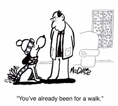 "You've already been for a walk." 