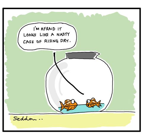 "I'm afraid it looks like a nasty case of rising dry."