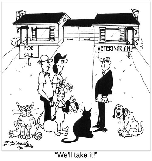 'We'll take it!'