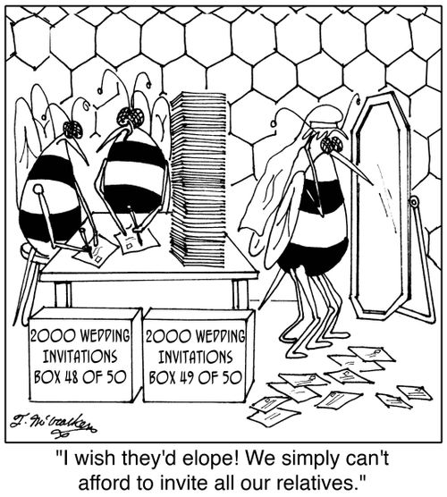 'I wish they'd elope! We simply can't afford to invite all our relatives.'