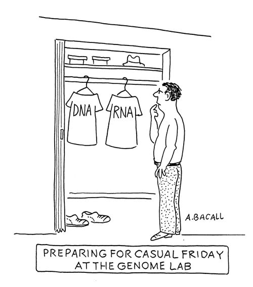 Preparing for Casual Friday at the Genome Lab
